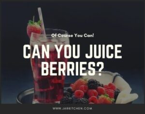 can you juice berries